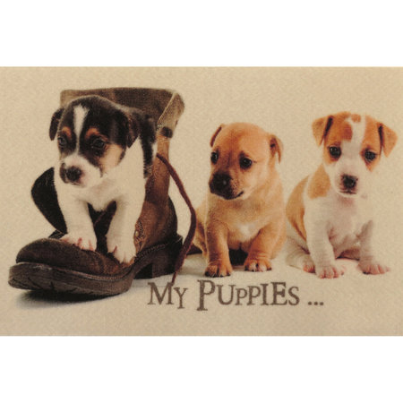 VLOERMAT DECO-STAR DIEREN 40X60CM MY PUPPIES