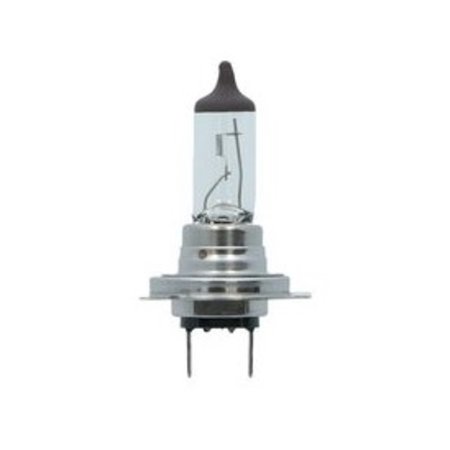 LAMP H7 12V 55W PREMIUM CARPOINT